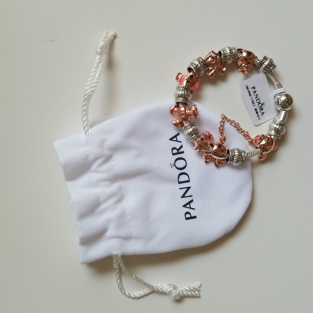 Pandora Bracelet with Disney Themed Charms